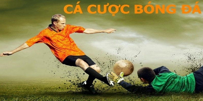 Hướng dẫn cá cược bóng đá online
